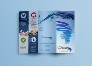 cross-brochure-768x553